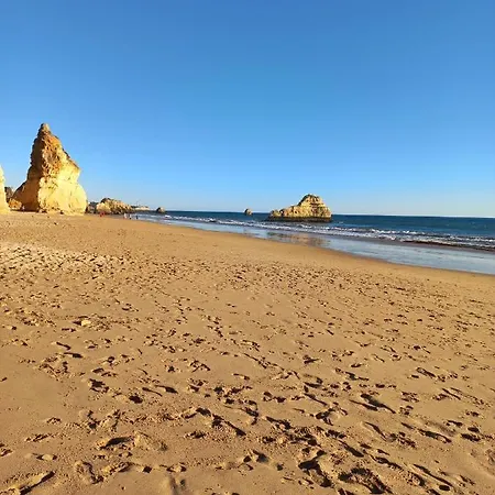 Vue Ocean *