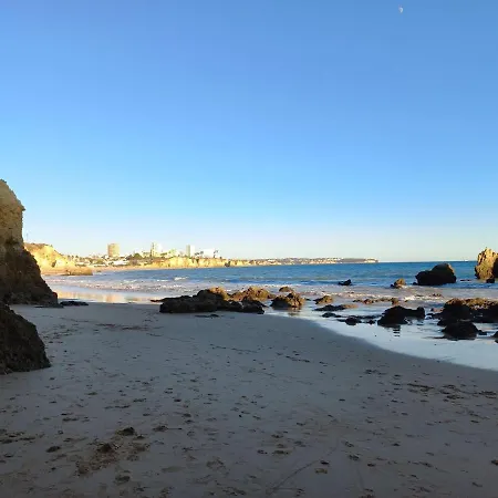 Vue Ocean *