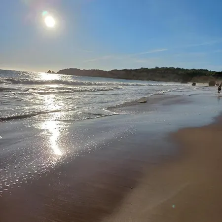 公寓 Vue Ocean 波尔蒂芒